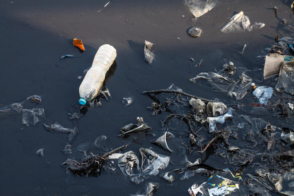 Lebanon's Water is Not Polluted Says Expert Al Bawaba